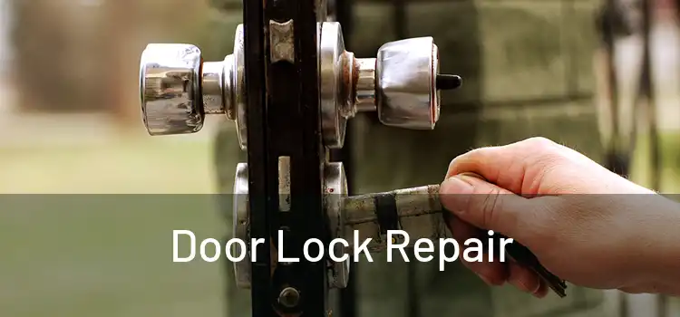 Door Lock Repair